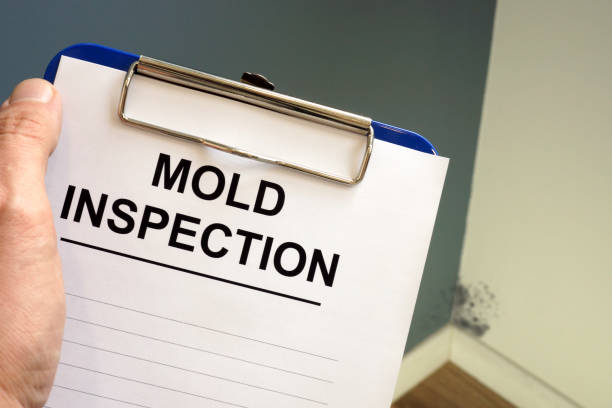 Best Mold Removal for HVAC Installations  in Mpo, CA